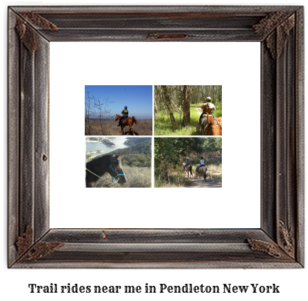 trail rides near me in Pendleton, New York